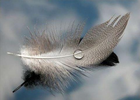 泰戈尔经典唯美句子 9