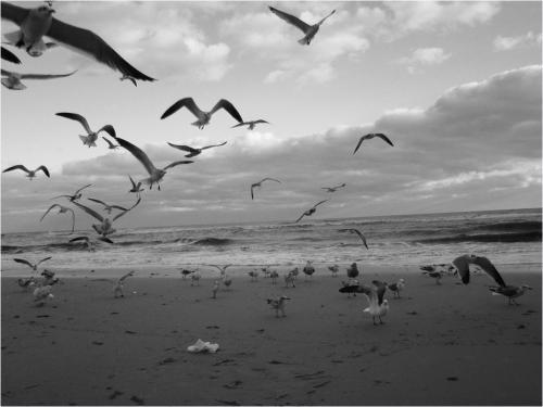 并且对这样的生活感到无聊