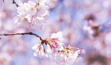 婆婆也是妈的说说 孝顺公婆最暖心最催泪的话