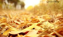 形容秋天的句子