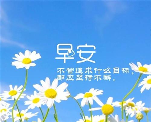 我的思想和早晨的阳光将幸福带入您的心灵深处