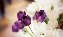 对亲人 朋友失望的句子