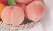 吃桃子的朋友圈说说