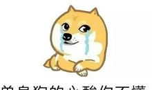 七夕情人节单身狗说说