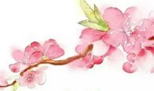 描写春花的古诗