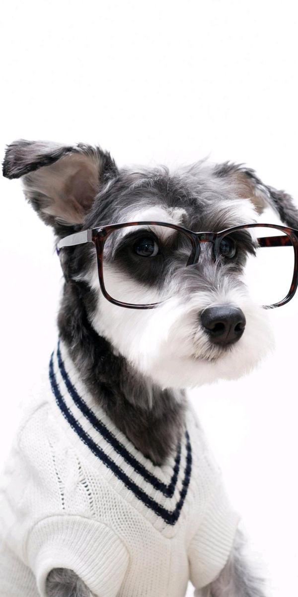 感谢生活中遇到的每一个人