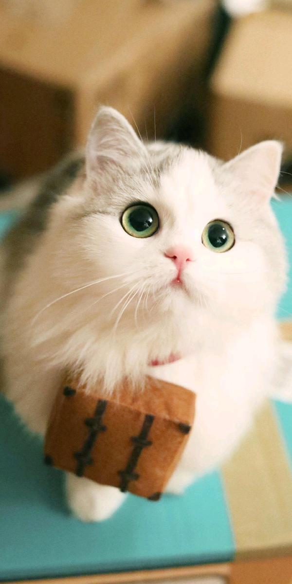 感谢生活中的每一次遭遇