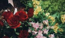 懂得知足的人生哲理