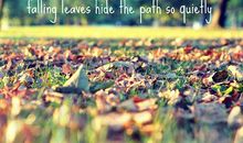 人生哲理名言100句