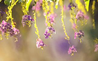 小编整理了一些安慰不开心女孩的句子