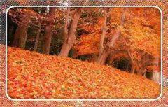 并适当分配它们