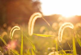 请欣赏小编发表的表达我爱你的快乐句子