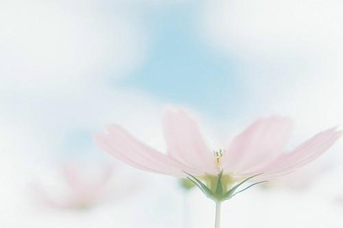 事情总是对与错