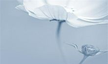 经典说说别人必评第十三期