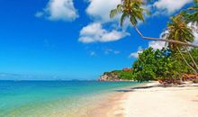 关于友情的经典优美语句