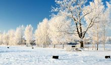 描写真挚友情的经典语句