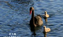 开心幸福快乐的句子