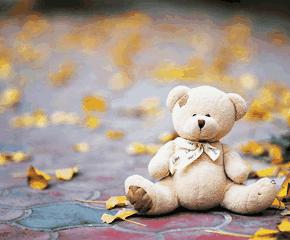 情人习惯于爱和珍惜