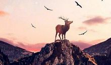 富有哲理的正能量句子