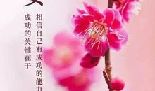 朋友圈早上好说说