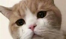 被开水烫了发朋友圈说说