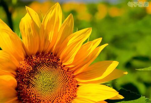 您走过的路将成为您记忆中的风景