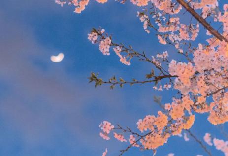 告别漫长的冬天