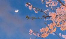 给自己加油鼓劲的励志短句 有力量的暖心句子