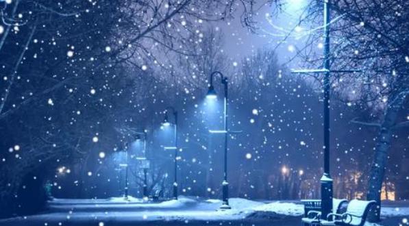 每个人都希望尽可能失望