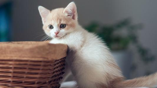 我希望每个人都能永远快乐