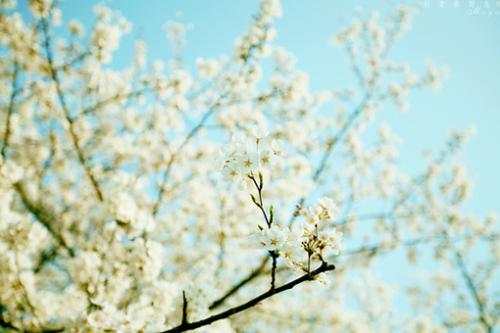 来看看小编整理的关于形容亲情感恩的句子英文句子