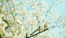 形容亲情感恩的句子英文句子