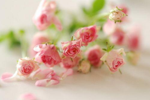 感谢您的支持和支持