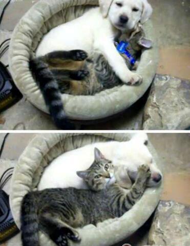 您只需要努力工作