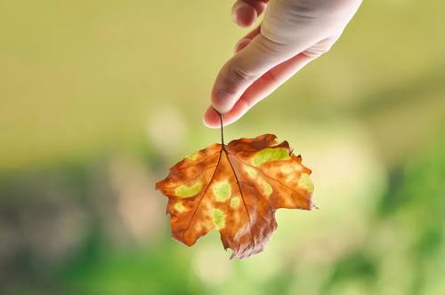 请享受编者对珍惜命运和情感的一些句子的汇编