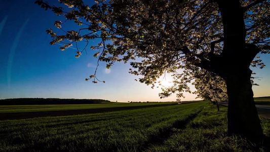 关于家庭和哲学的句子是什么