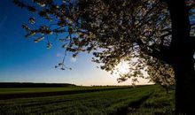 有关亲情哲理句子