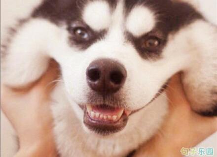 以前我没有选择标准