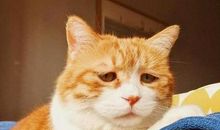 委婉的表示不开心的句子