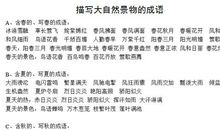 描写景的成语