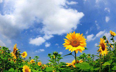 见礼物”：神舟方面的千帆