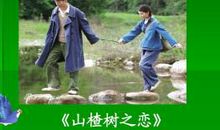 山楂树之恋经典句子