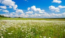 让自己开心点的句子