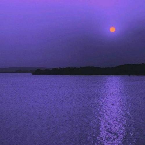 每个人都渴望有希望的情感生活