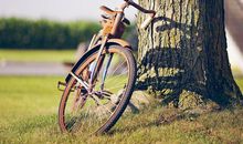 有关于亲情的感人句子