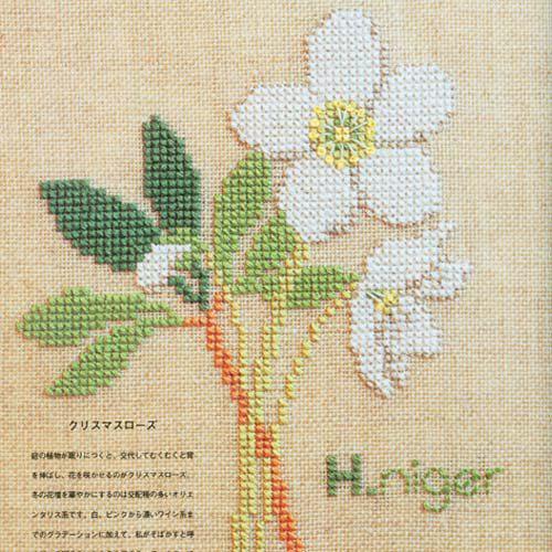 培养业余爱好是一件非常有趣的事情