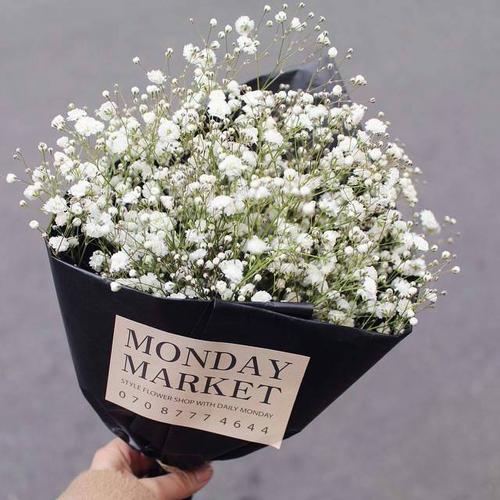 生活总是甜蜜而苦涩的