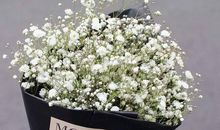 祝朋友开心的哲理句子