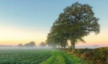 精辟人生感悟句子