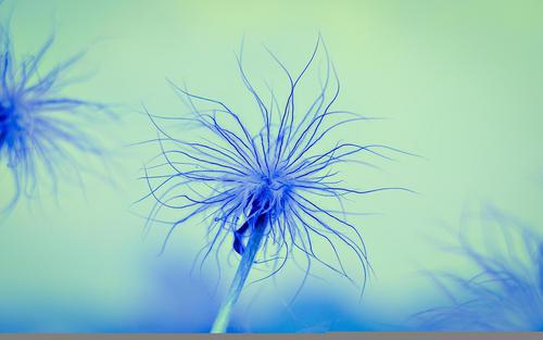 请欣赏编辑编撰的关于一起喝酒的句子